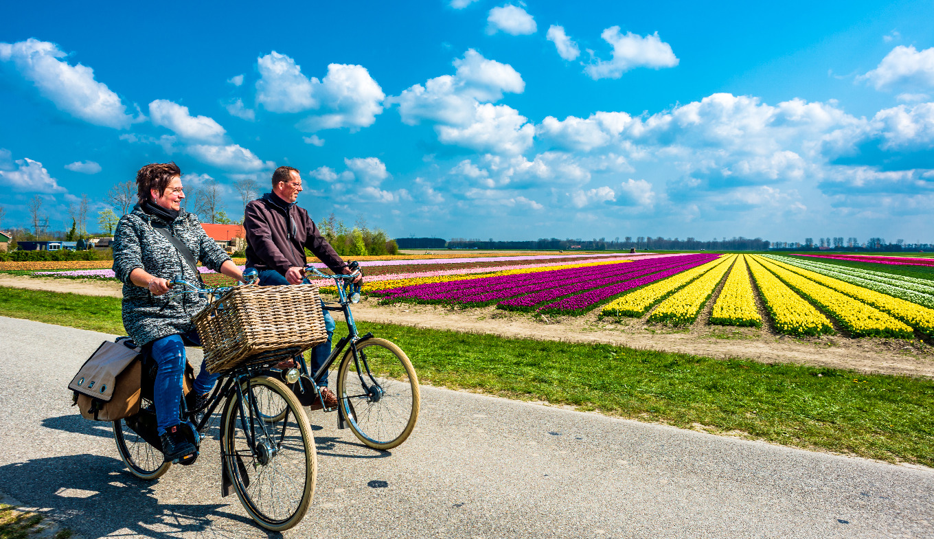 Viajes Organizados En Bicicleta Por Holanda Consejos Bicicletas